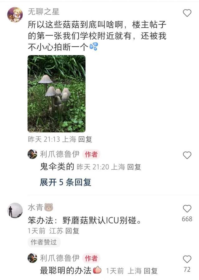 近期暴长！上海网友都在晒！发出灵魂二连问，紧急提醒→