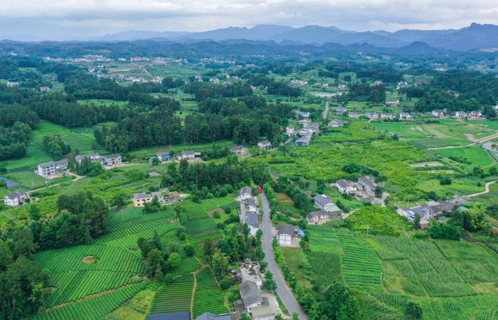 走进湄潭27°茶海路：贵州第一条国家级最美农村路