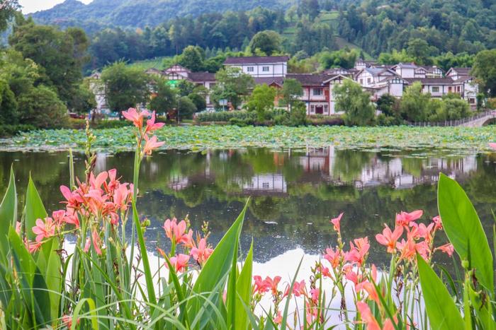 走进湄潭27°茶海路：贵州第一条国家级最美农村路