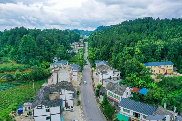 走进湄潭27°茶海路：贵州第一条国家级最美农村路