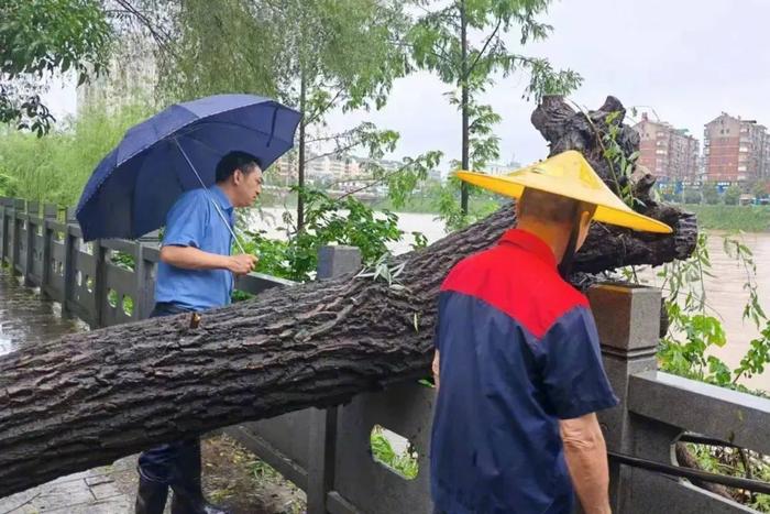 迎战强降雨！检察集结！