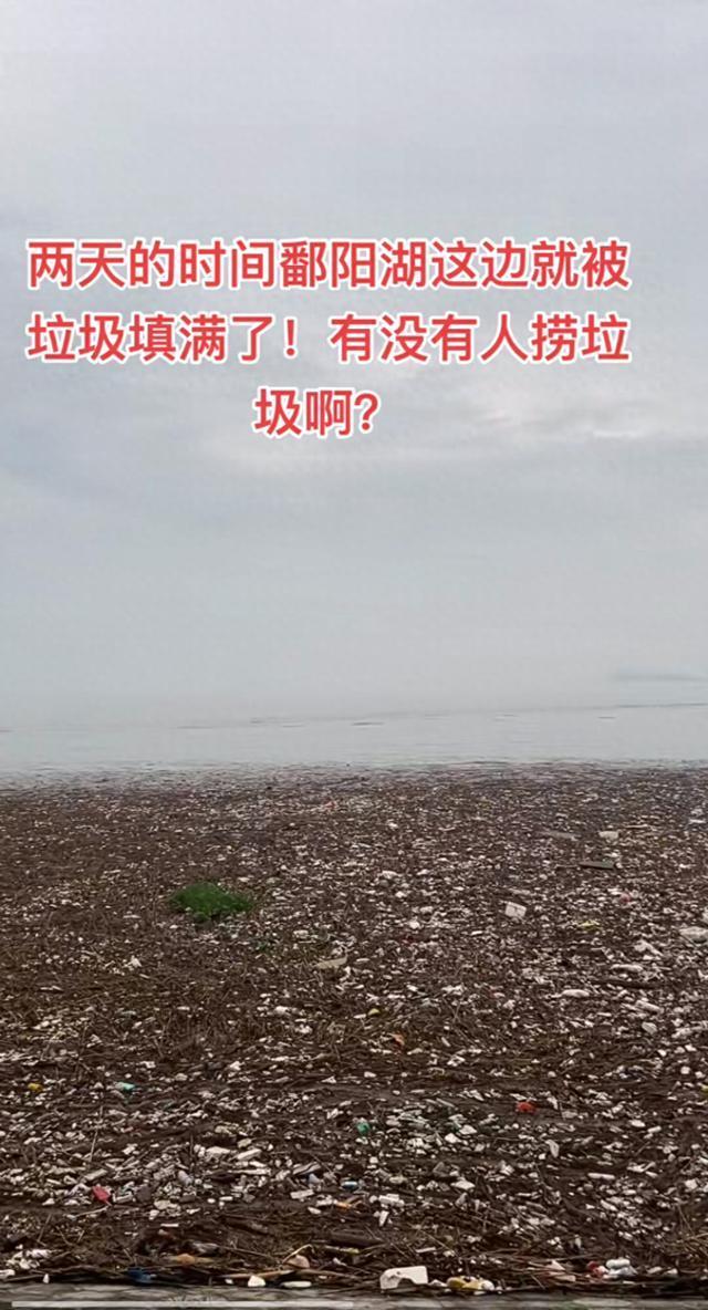 鄱阳湖部分湖面被垃圾填满，生态环境局回应