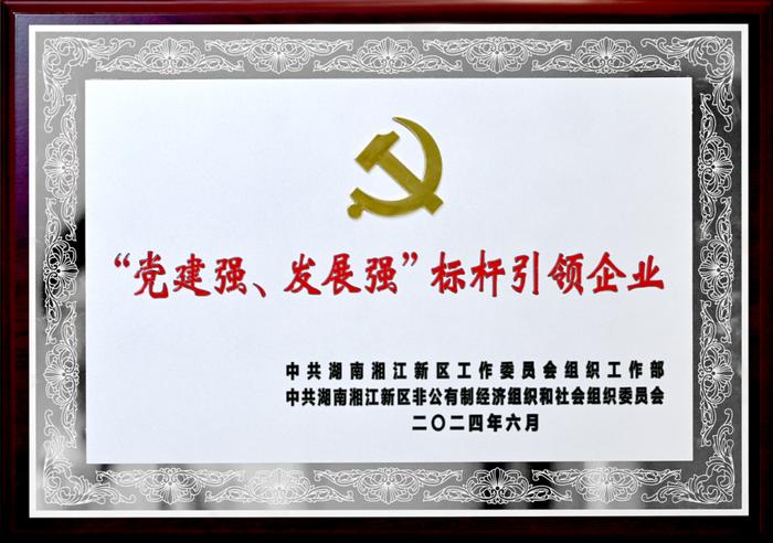 达嘉维康荣获湘江新区“支持党建工作优秀企业家”、“党建强、发展强”标杆引领企业表彰