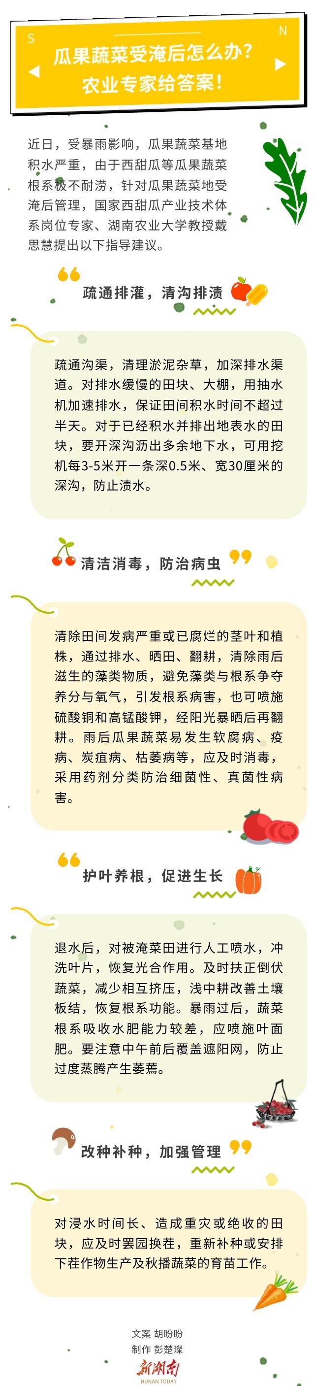 瓜果蔬菜受淹后怎么办？农业专家给答案！