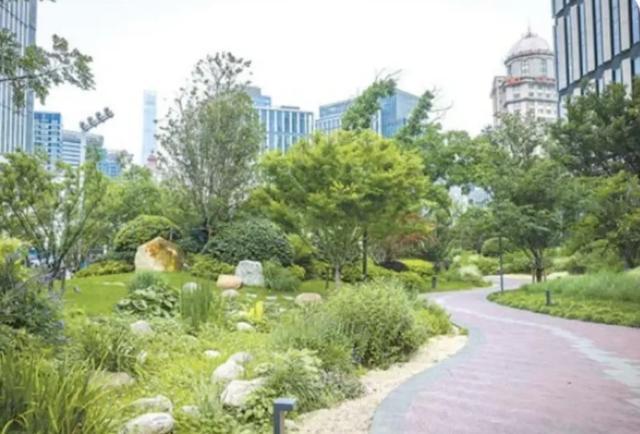 黄浦董家渡成为首批上海市最高级别绿色生态城区示范终期验收项目
