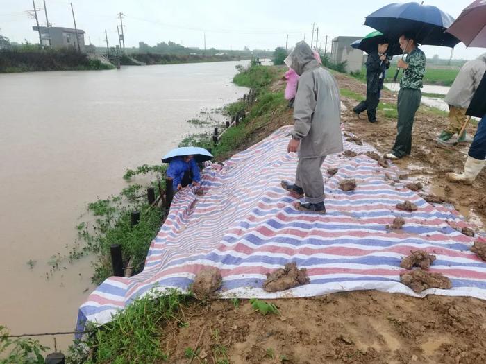 联“县”热推丨暴雨集中在鄂东南！来看看他们出了哪些实招→