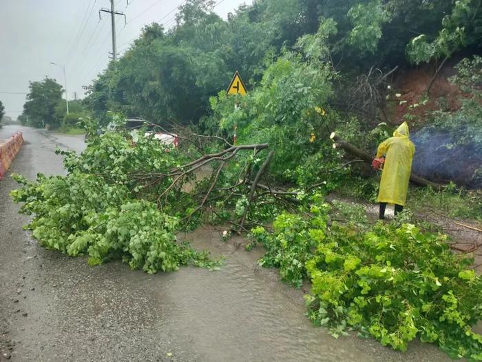 联“县”热推丨暴雨集中在鄂东南！来看看他们出了哪些实招→