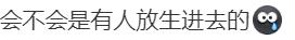 热闻|河南一湖中惊现多条小鳄鱼！水利局持续三天排查，随意放生涉嫌违法