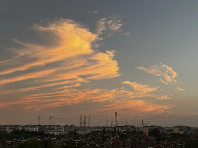 来方松，感受五彩斑斓的夏日美景→