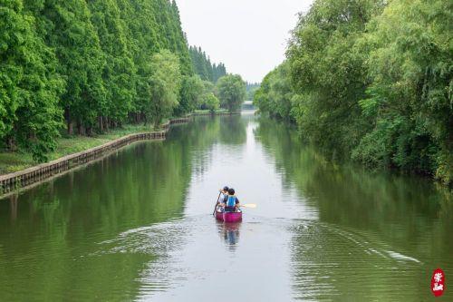 夏日氛围浓 水上运动“热”