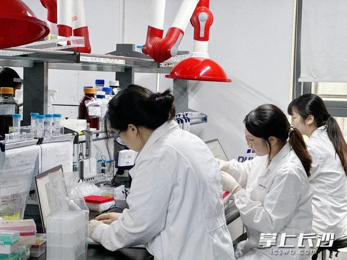 全国首款肾功能体外检测试剂获批，为长沙企业研发