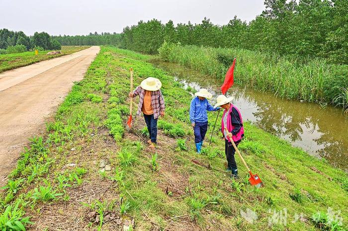 联“县”热推丨暴雨集中在鄂东南！来看看他们出了哪些实招→