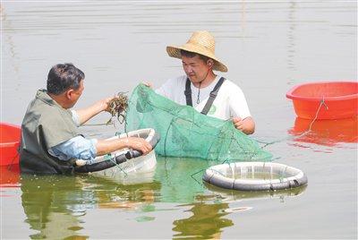 特色养殖增收致富