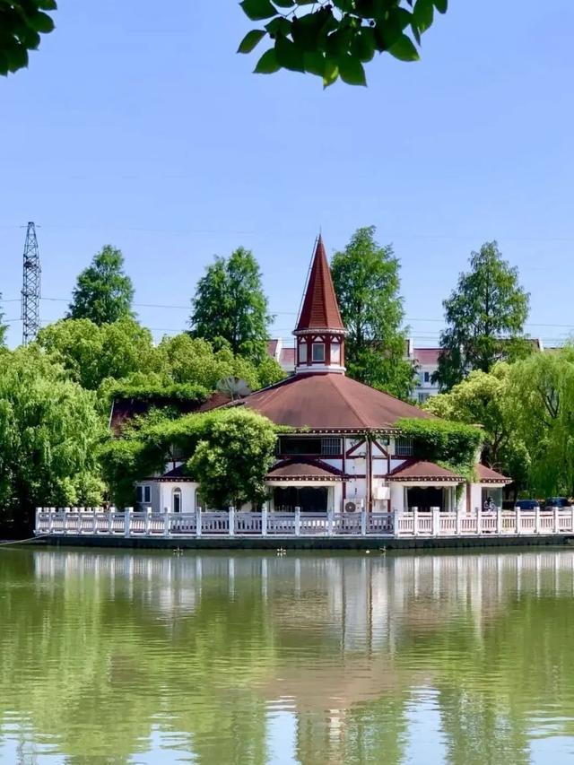 来方松，感受五彩斑斓的夏日美景→