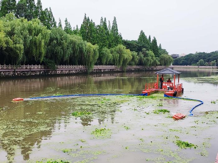 “水上机器人”上场“收割”水草 看古运河上的“捞草神器”