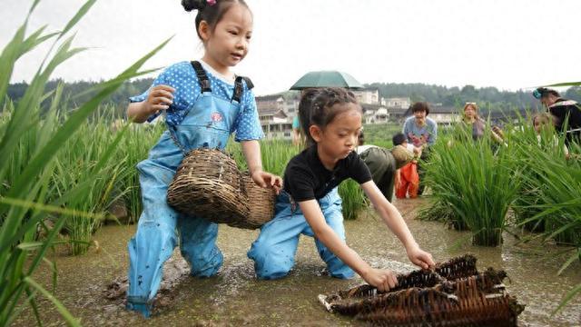 《上海市中小学校外实践教育促进规定（草案）》征求意见，全文来了