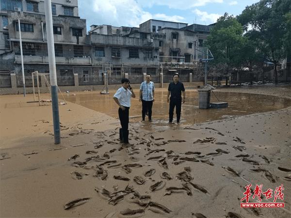 汉昌学校：风雨之后 我们共筑