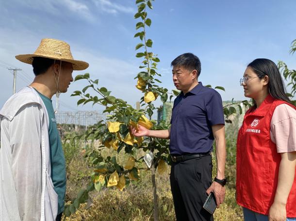 肥西县三河镇：“三维发力”推动党员电教远教工作行稳致远