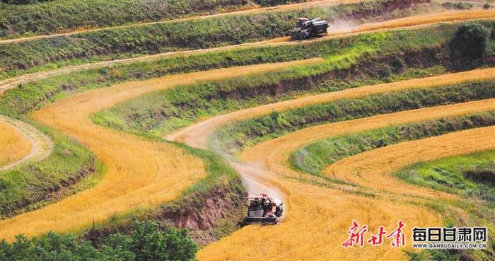 【图片新闻】秦安县陇城镇三道梁流域小麦种植基地 一派繁忙的丰收景象