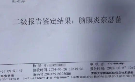 晴热晒！上海探索路边短时停车免费！同班2学生此病去世！大熊猫学院招本科生！沪人事任免！