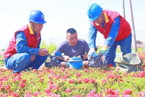 国网张掖供电公司：“满格电”催开“致富花”