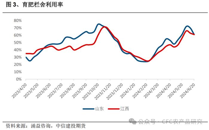 建投专题 · 生猪：二育带来的弹性还有多少？