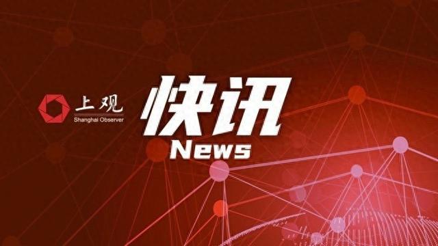 男子迪士尼安检区插队被阻后动手打人，上海警方：已拘留
