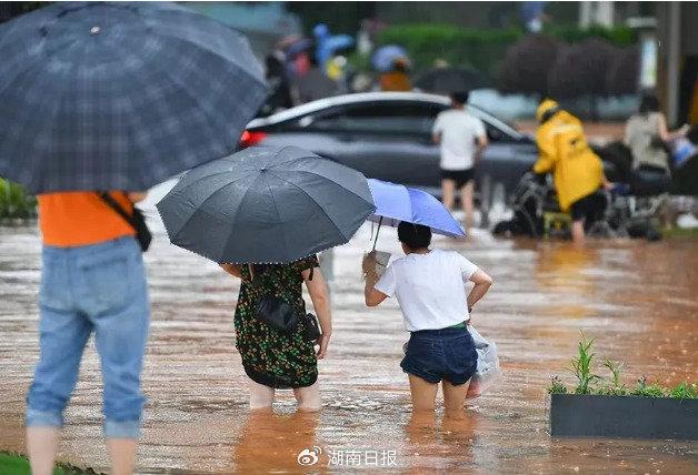 洪水退去·科学防疫|那些淌过“浑水”的赤脚，要当心！