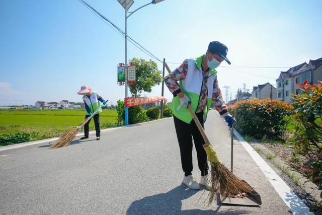 获市级荣誉！金山这个村是这样做的→