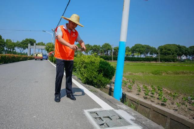 获市级荣誉！金山这个村是这样做的→