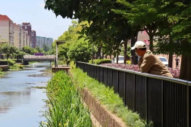 长宁：趁阳光正好，来这个“家门口”河道转转吧～