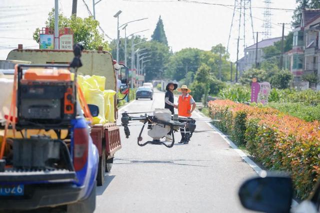 获市级荣誉！金山这个村是这样做的→