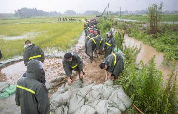 现场直击｜屈原管理区防汛救灾一线见闻