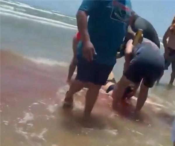 美国又现鲨鱼攻击人类案例：两男两女遇袭、有人腿被咬断