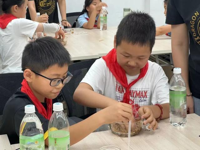 从草药园到生产车间，小学生研学走进中华药业