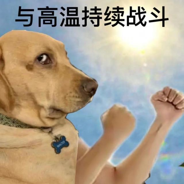 早！“小橙”上班啦