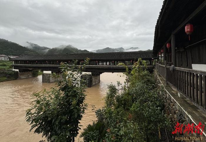 防汛一线直击|安化33座风雨廊桥再次经受住了风雨的考验