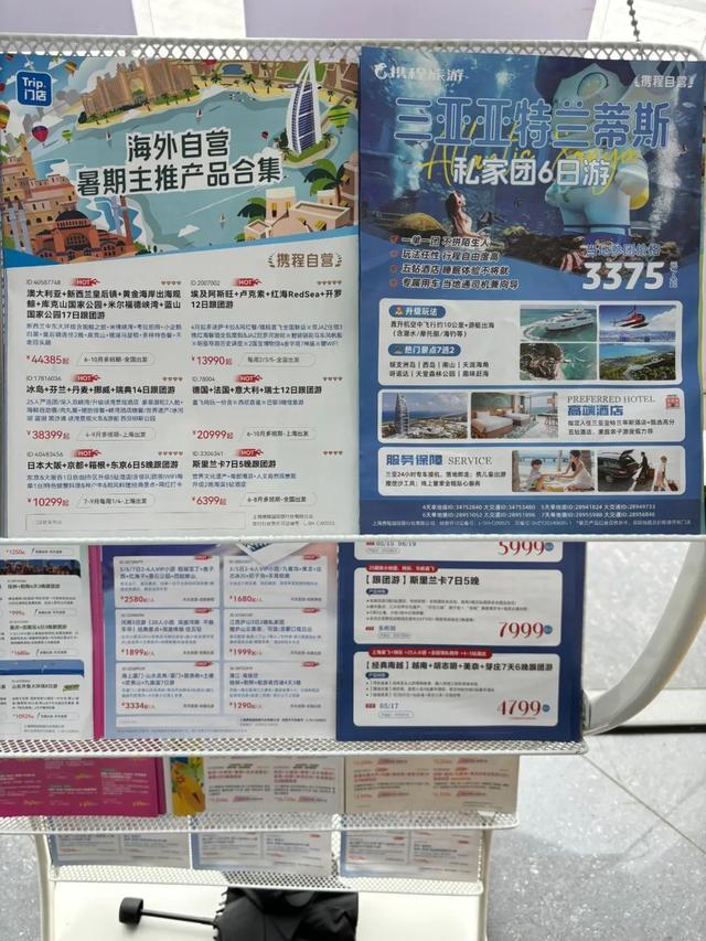 暑期旅游预订酣！松江旅行社迎客流高峰