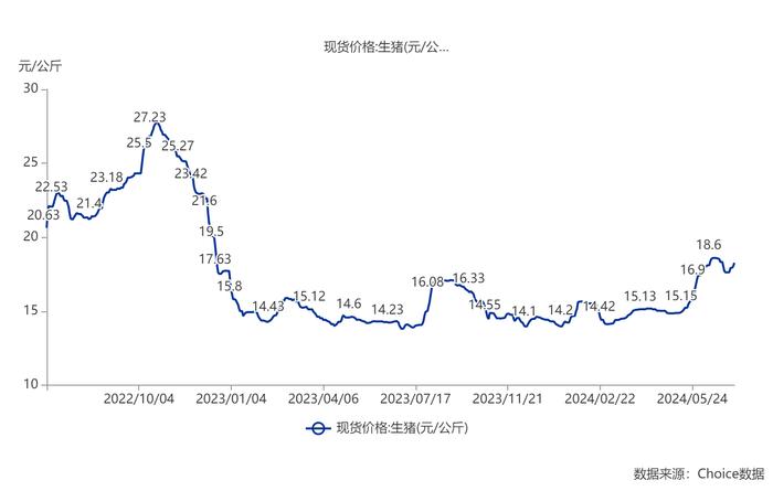 猪价冲高新希望Q2转盈 猪周期上行猪企下半年业绩仍有支撑|速读公告