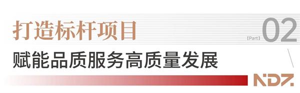 新荣誉丨新大正荣获首届人民网高质量发展巡礼两大奖项