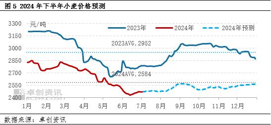 下半年小麦或存阶段性上涨机会 供应压力将限制价格涨幅