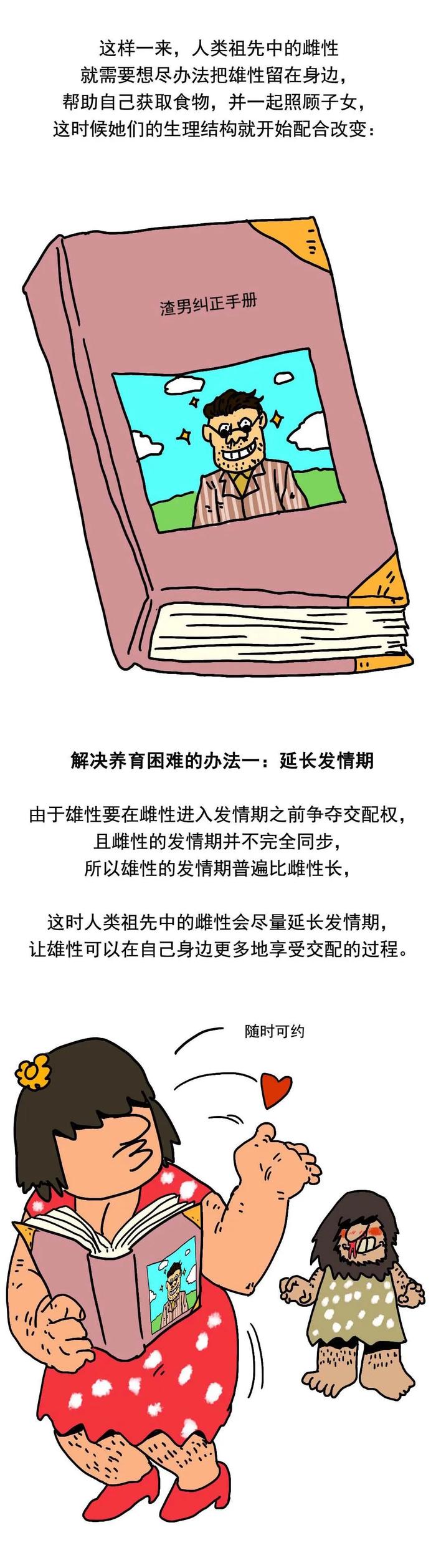 为什么动物有固定发情期，人却365天都在发情？