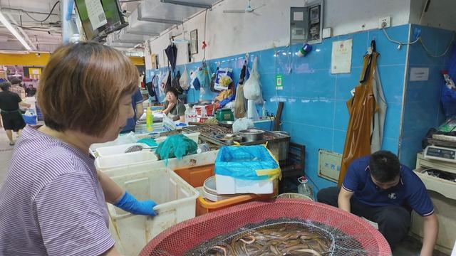 小暑宜食补，菜市场里黄鳝热销