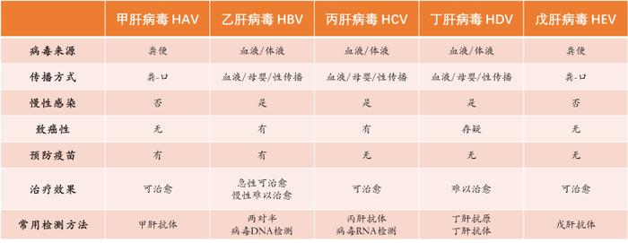 甲、乙、丙、丁、戊肝，一个肝炎为什么要分这么细？为什么有的肝炎还总要测病毒载量？
