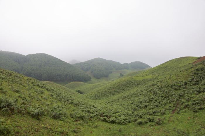 云新闻画报丨七彩云南样样好·小暑到，草山纳凉正好