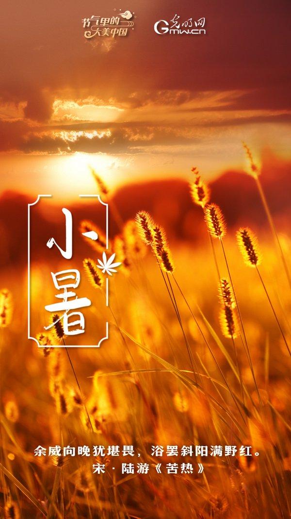 【节气里的大美中国】节气PLOG丨小暑：风起蝉鸣，盛夏将启
