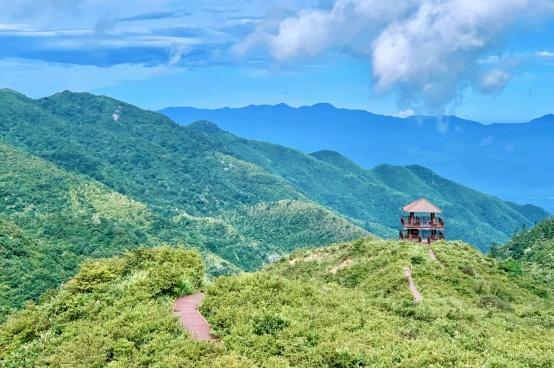 多地官宣取消旅游景区预约！汇总来了