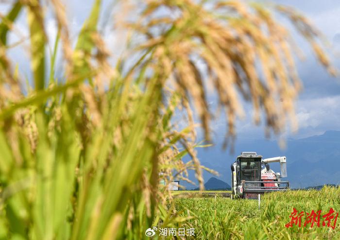 注意防范！气温冲到38℃，洞庭湖阵风可达8级