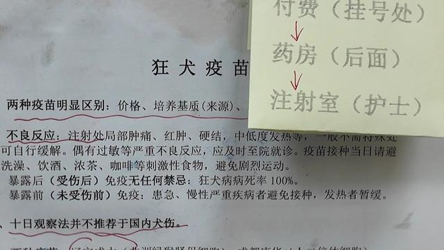 高温天气动物抓咬事件频发，及时就医与处理至关重要