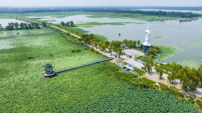 诗意白云湖 盛夏文旅季 ——水乡白云向您邀约